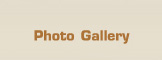 Photo Gallery